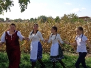 Szüreti Bál és Bálra hívogatás Madaras 2017.09.23._46